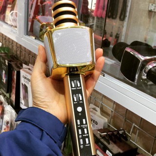 Mic hát Karaoke SD17