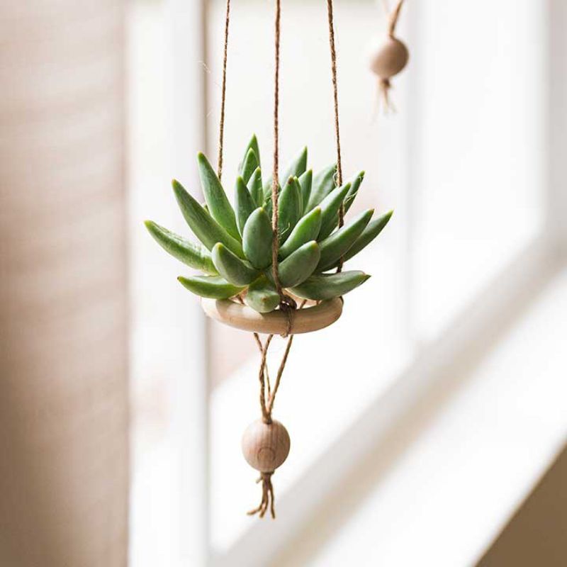 Set 5 dây treo cây không khí độc đáo