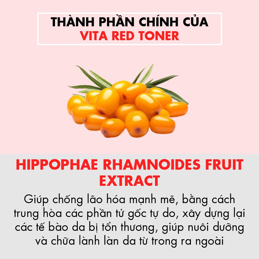 Toner Dưỡng Trắng Se Khít Lỗ Chân Lông TIAM MY SIGNATURE RED C