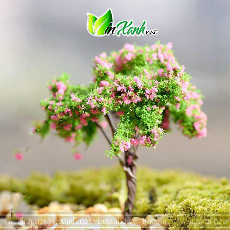 Mô hình cây giả mini nhiều loại đủ màu sắc