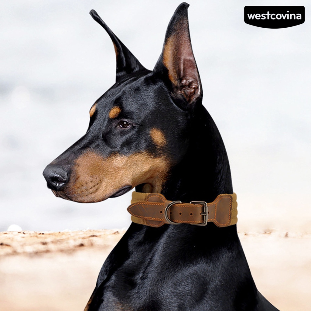 [Mới]♞Vòng Cổ Giả Da Thoáng Khí Có Thể Điều Chỉnh Cho Thú Cưng