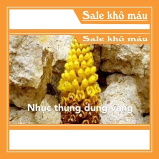 [HÀNG CHUẨN LOẠI 1] 100g Nhục Thung Dung
