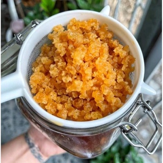 Combo Nấm nước Kefir+ Khăn xô + Rây nhựa. Tặng thìa nhựa