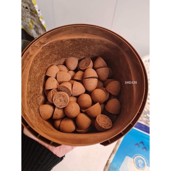 HỘP KẸO SOCOLA TƯƠI TRUFLE NAMA NỘI ĐỊA TRUNG