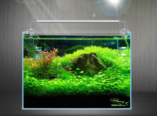 Đèn led GX-A cho bể cá cảnh thủy sinh