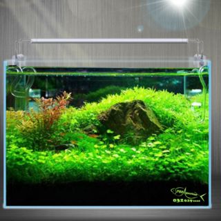 Đèn led GX-A ánh sáng trắng và 3 chế độ ánh sáng RGB cho bể cá cảnh thủy sinh