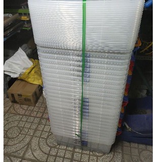 Thùng chữ nhật 30 Lít nhựa Duy Tân