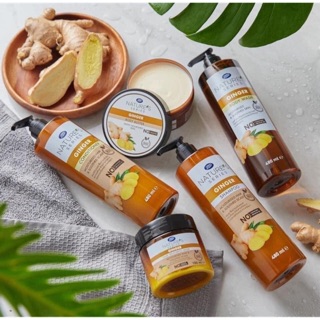 Dầu gội xả Organic của Boots - Tinh chất Gừng