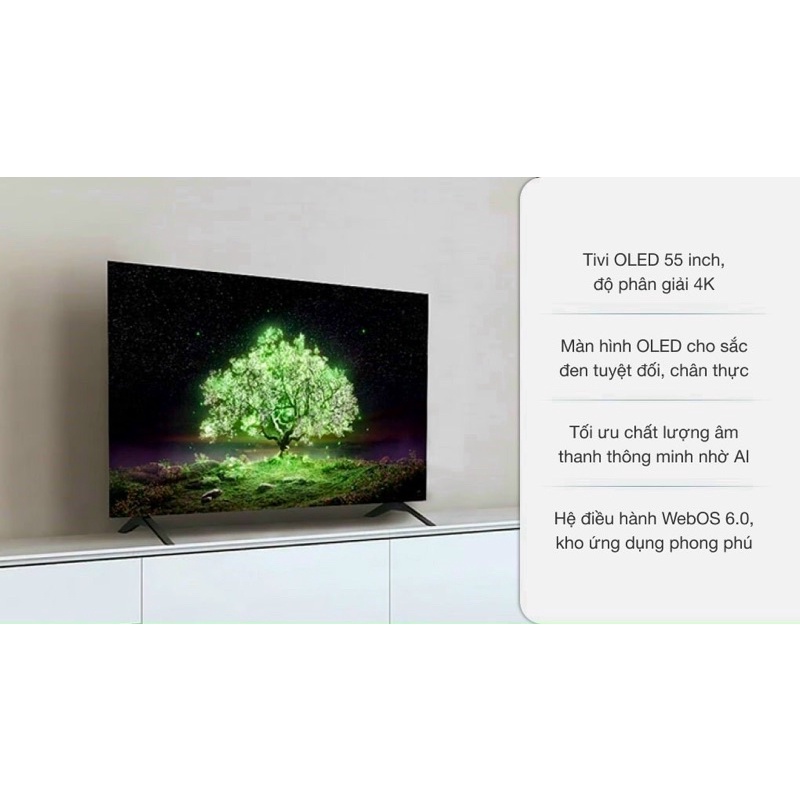 Smart Tivi OLED LG 4K 55 inch 55A1PTA