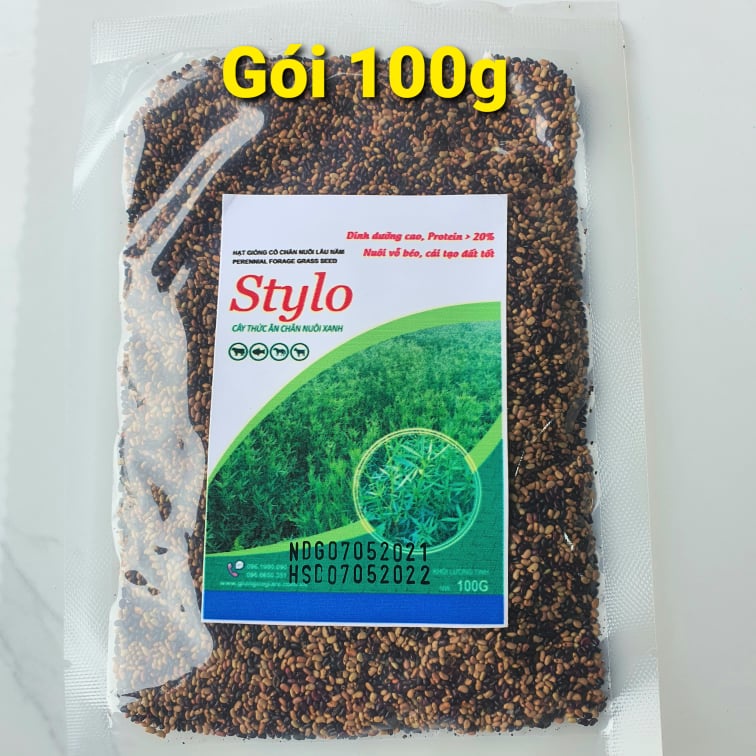 Cỏ Ubon Stylo (Gói 100g) - Giống Cỏ Nhiều Dinh Dưỡng