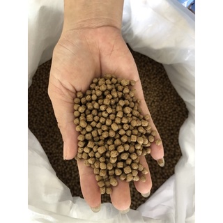 1kg cám cá koi, cám cá vàng Gold Koi Feed 40% đạm