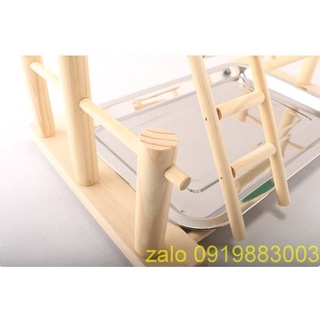 Cầu Đứng Cho Vẹt Bằng Gỗ
