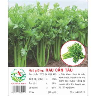 Hạt giống rau cần tàu 5G