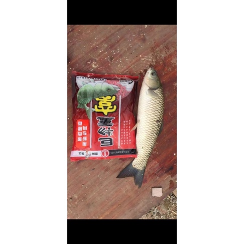 Mồi trắm đen hạt 2 vị tanh và thơm