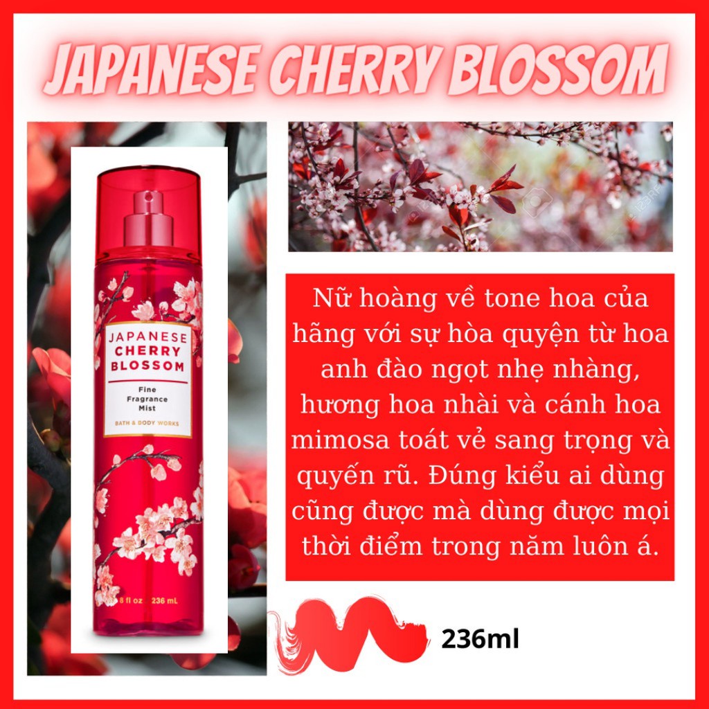 Lotion dưỡng thể JAPANESE CHERRY BLOSSOM Bath and Body Works 226gram#chính hãng #