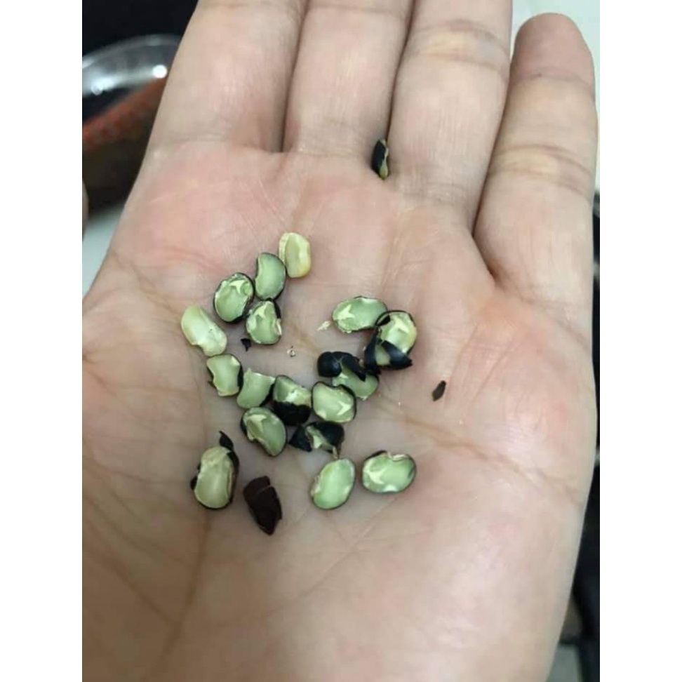 Đỗ đen hữu cơ nguyên hạt xanh lòng loại 1kg