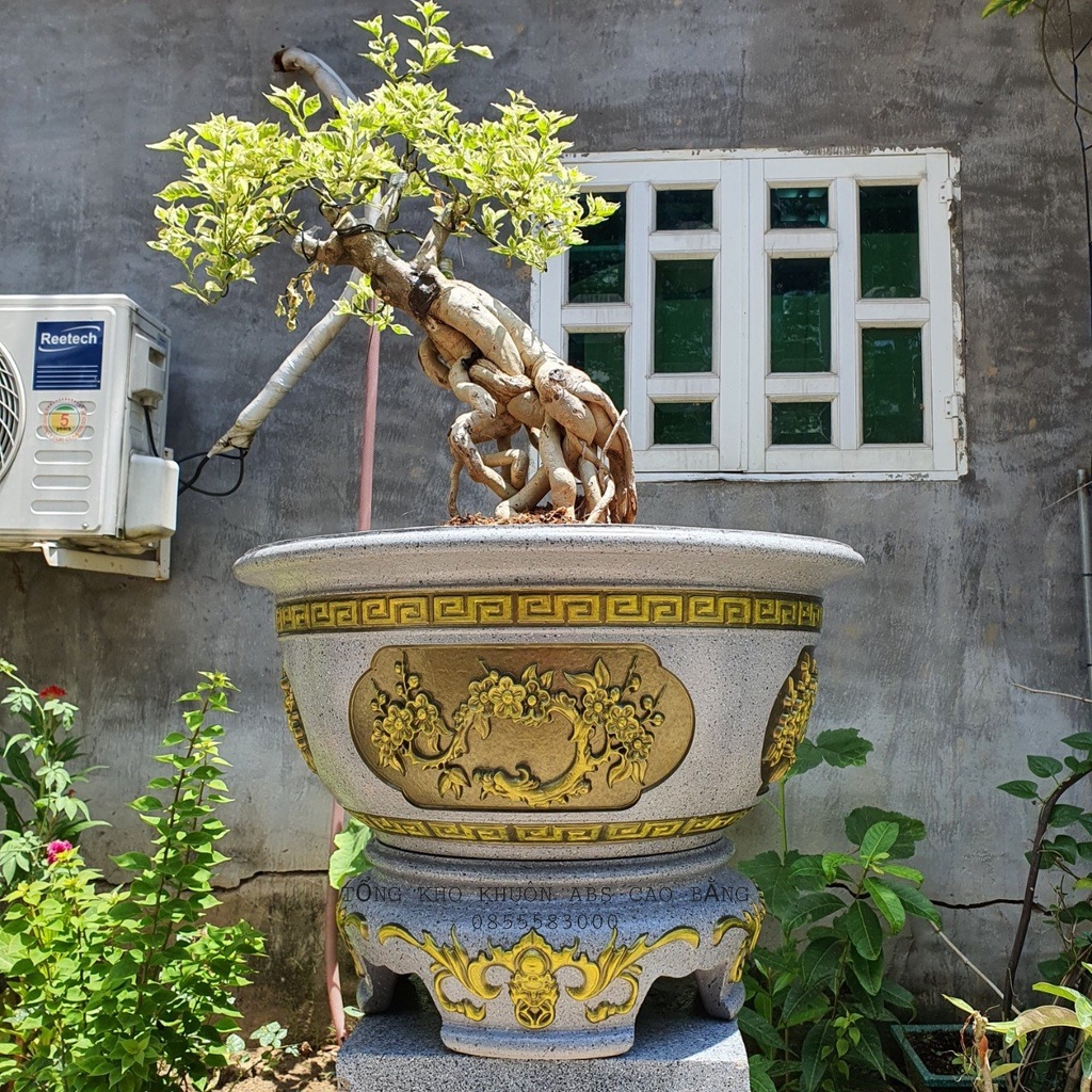 Khuôn đúc chậu chậu tròn 60 và chân đôn