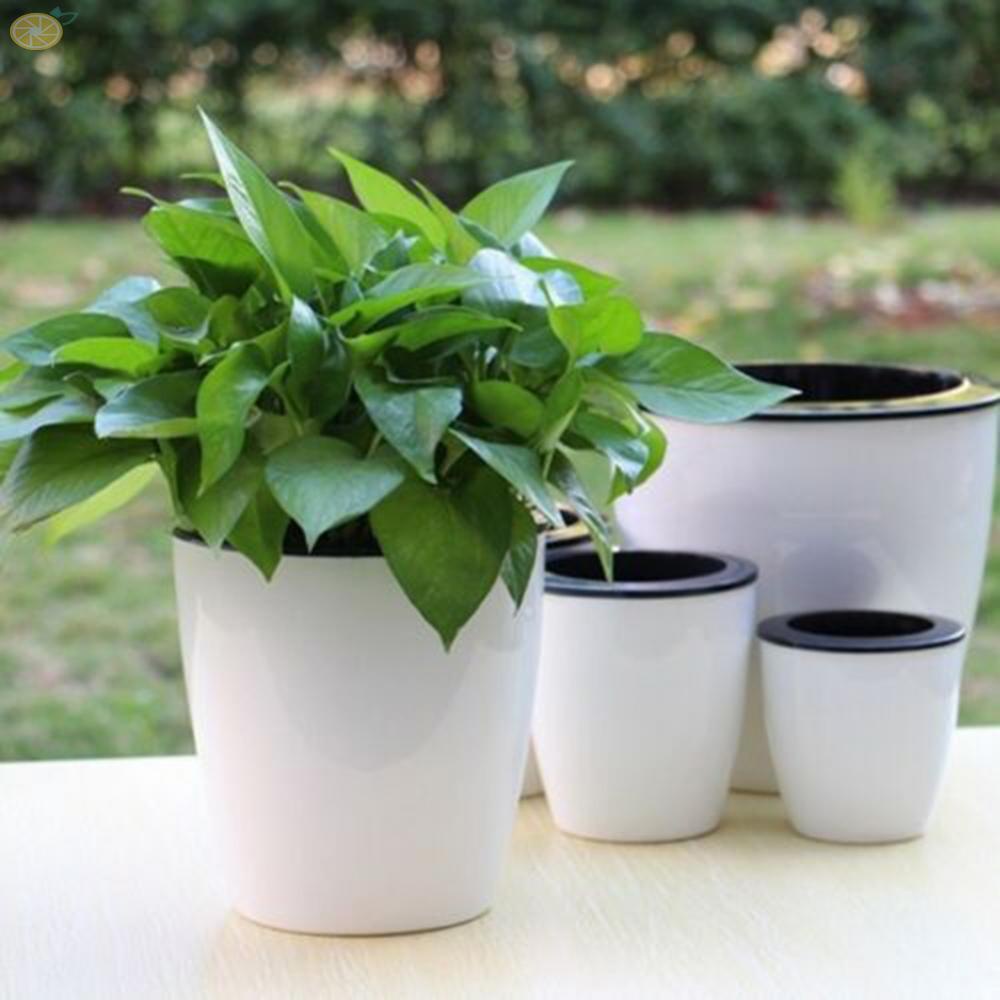 Chậu Hoa Tự Tưới Tự Động Hình Tròn Chất Liệu Nhựa