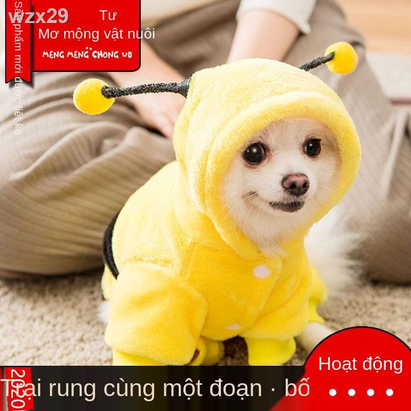 quần thời trangQuần áo cho thú cưng dành bốn chân mùa thu / đông chó nhỏ Teddy Bichon con mèo, con, mèo và