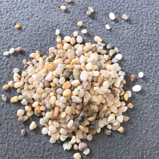 1kg Sỏi Muối Tiêu Viên Vừa, Trang Trí Hồ Cá Cảnh, Hồ Thủy Sinh, Mang Thiên Nhiên Lại Gần Nhau Hơn