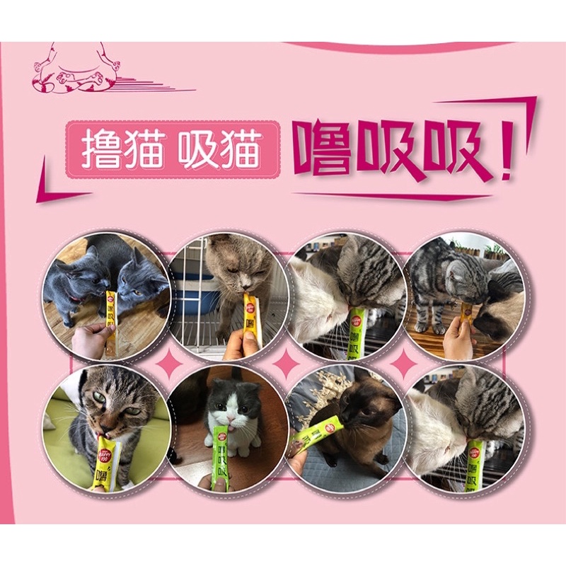 Wanpy Happy 100 Súp thưởng cho mèo tăng sự thèm ăn tăng cân cho mèo Surica WP08 (14grx5)