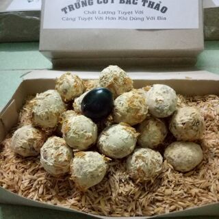 Trứng cút Bắc Thảo