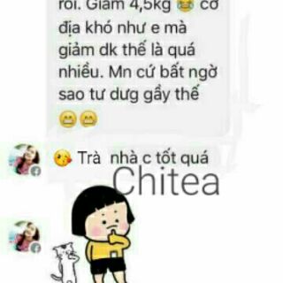 Trà thảo mộc giảm cân Chitea (200 gói)