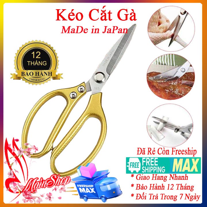 Kéo cắt thịt gà sắc, dày dặn chắc chắn cán vàng
