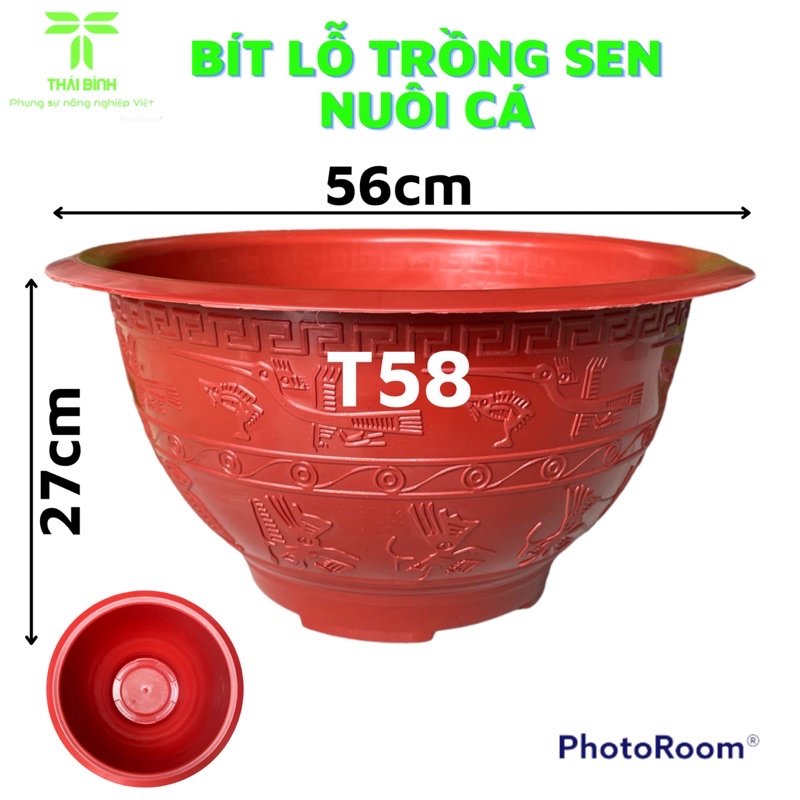 Chậu Nhựa Bít Lỗ Trồng Sen T58 (Nhựa Dày) - Chậu Nhựa Thái Bình