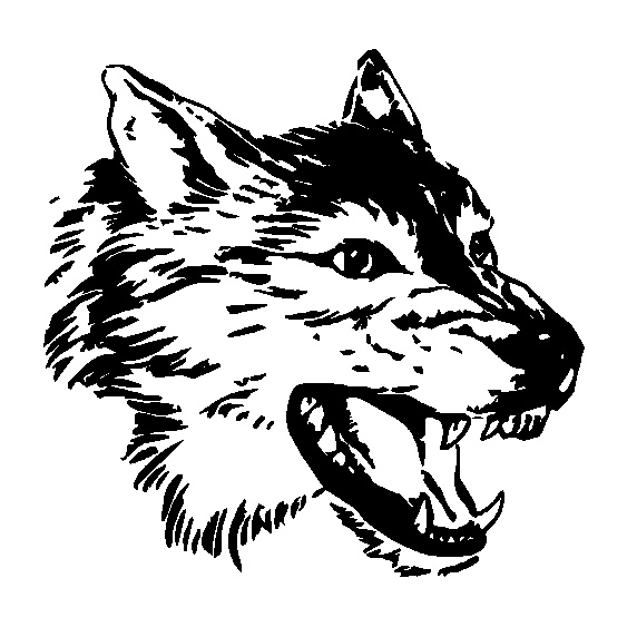 Khuyên Tai Nam Hình Đầu Sói Màu Đen Chống Dị Ứng