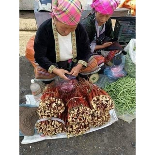 Sâm Cau đỏ