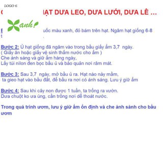 Hạt giống cây Dưa lê vàng Hàn Quốc (10 hạt)