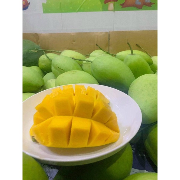 Xoài Cát Hoà Lộc Vip Trái 500g Bao Ngọt Thơm - Giao Tận Nơi