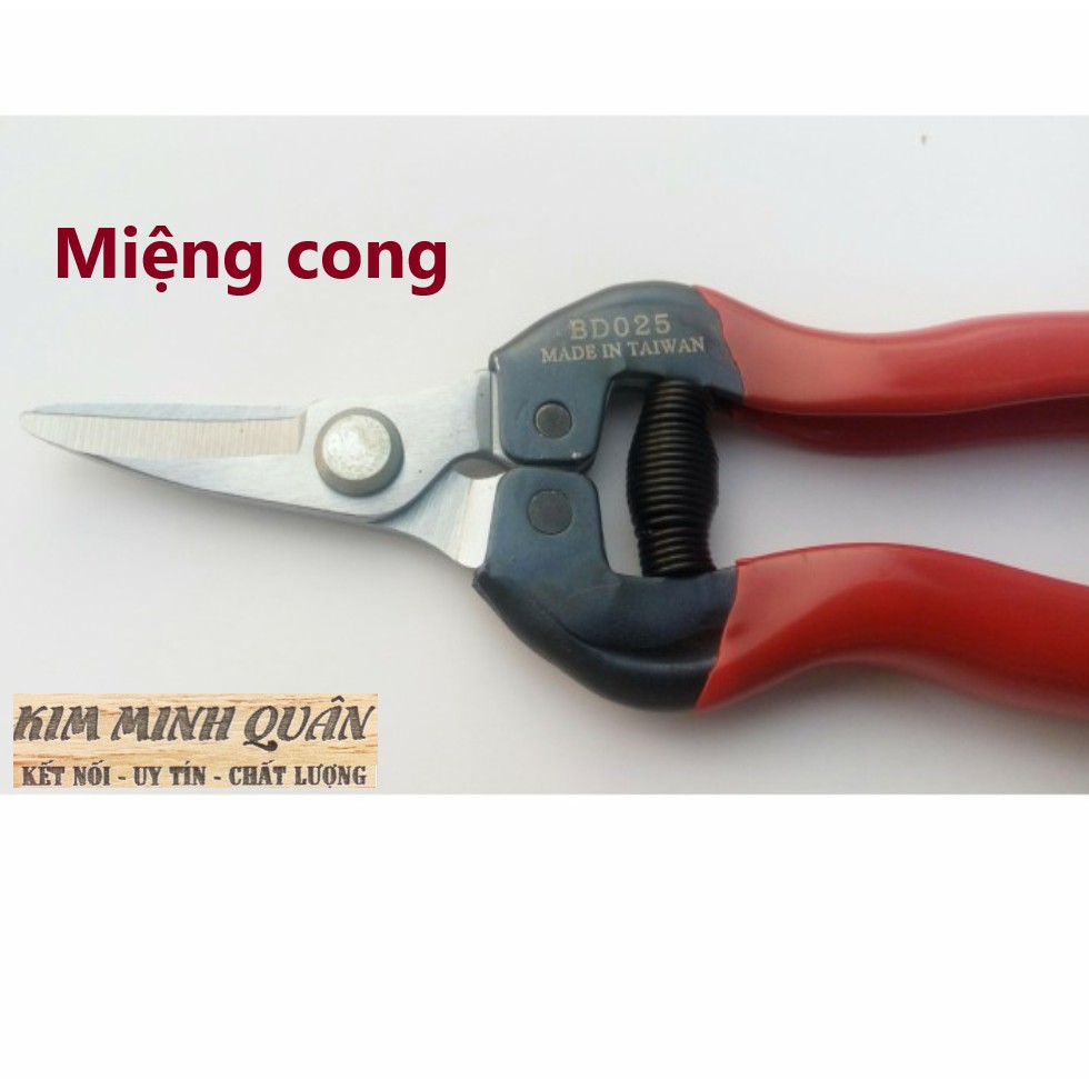 Kéo Tỉa Cành , Hái Quả Miệng Nhọn Cong Cao Cấp 175mm BD025 BUDDY