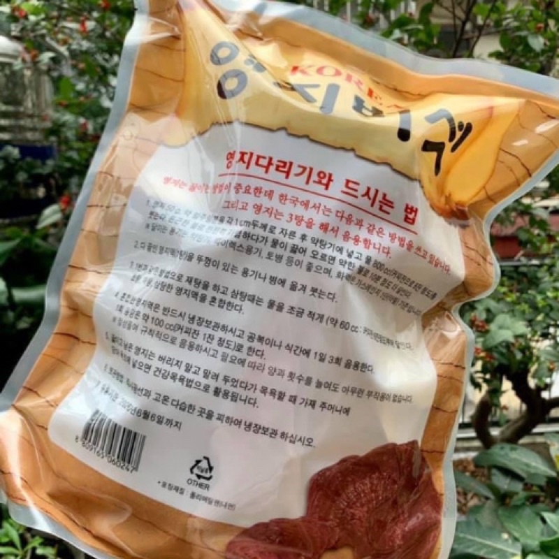 Nấm linh chi Bao tử hàn quốc chính hãng - Nấm bao tử túi 1kg