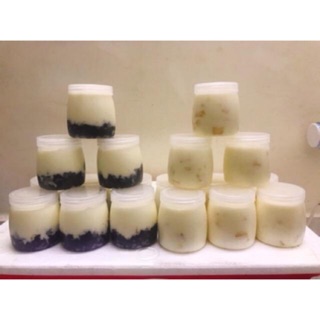 500 hũ sữa chua