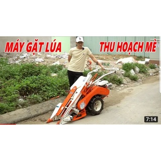 Dây cột cho Máy thu hoạch lúa, thu hoạch mè tự bó