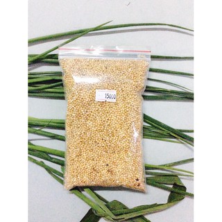 (250gr)- Hạt kê bóng vàng- Thức ăn cho Hamster