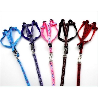Dây dắt thú cưng kèm yếm 1 - 1,5cm