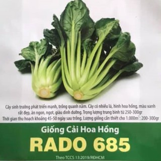 Hạt giống cải hoa hồng 685
