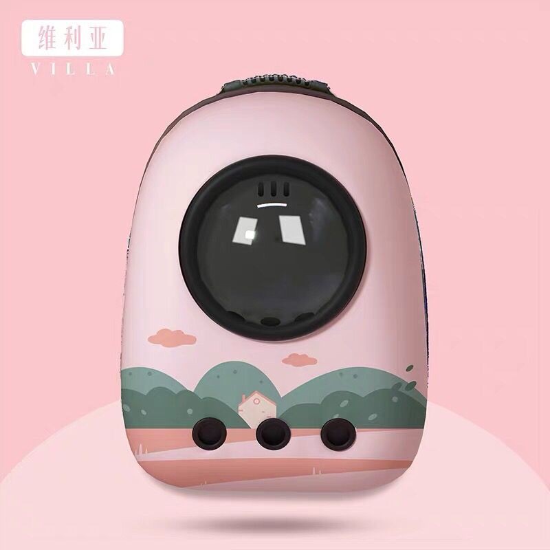 Miễn phí vận chuyển toàn quốc Túi mèo đi ra ngoài di động Cat ba lô Kitty Space Capsule Pet học Double Bag