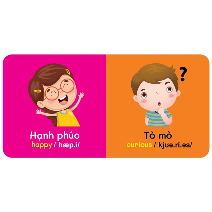 Sách - Từ Điển Bằng Hình Đầu Tiên Của Bé - Emotions - Cảm Xúc (Song Ngữ Anh - Việt)