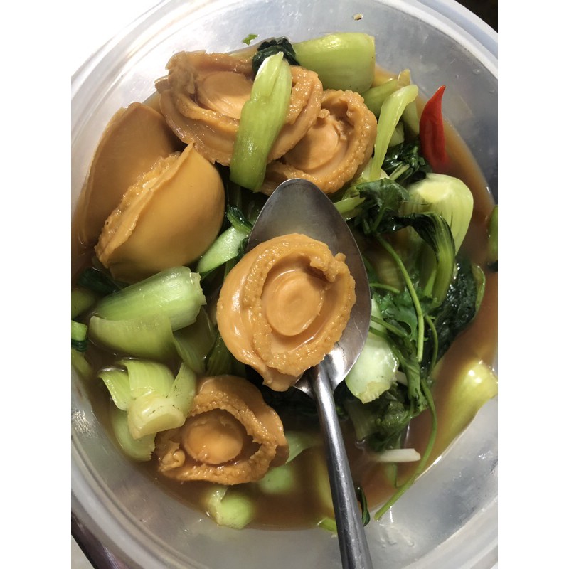 Bào Ngư Hộp Nhật Bản