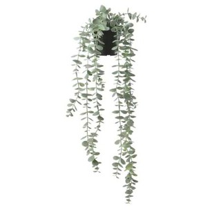 Cây giả FEJKA IKEA
