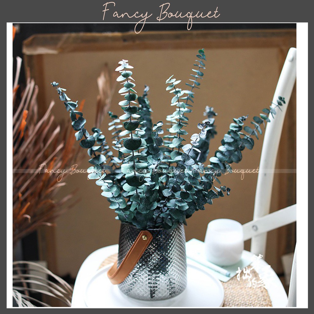 Cành lá khuynh diệp khô Eucalyptus ❤️FREESHIP❤️ hoa trang trí phòng khách decor vintage