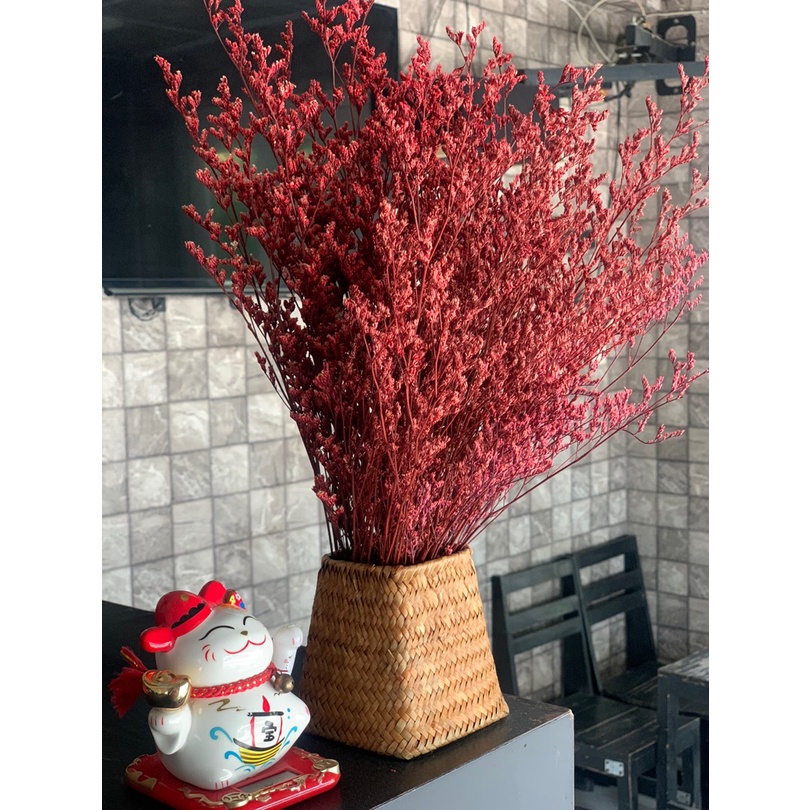 Bó Hoa Đuôi Công thật sấy khô decor