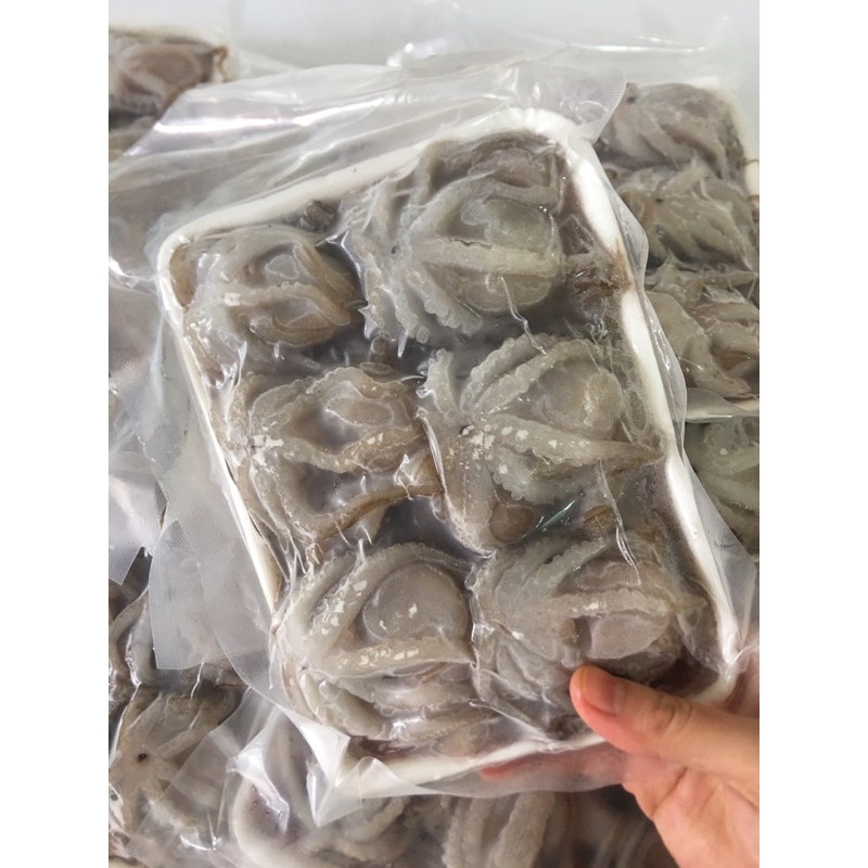 Bạch tuộc sữa baby làm sạch💥 GIÒN NGON💥 ăn lẩu , nướng