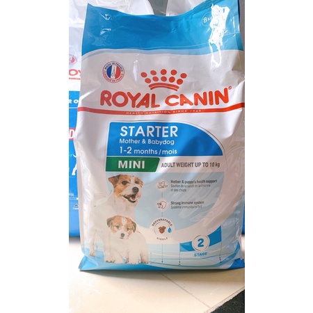Thức ăn hạt cho chó bầu và chó sơ sinh - Royal Mini Starter Mother and baby dog