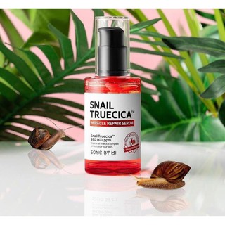 [Chính Hãng] Tinh Chất Ốc Sên Mờ Sẹo, Phục Hồi Da Some By Mi Snail Truecica Serum 50ml
