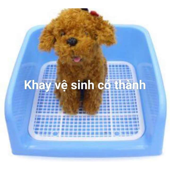 Khay vệ sinh cho chó 40x40x16cm [tặng cọc]